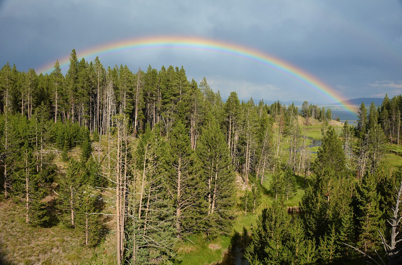 Experience the Beauty of Yellowstone's Geothermal Features